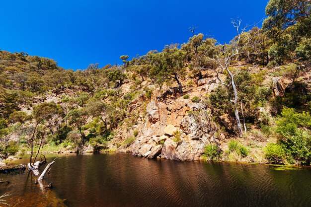 Idyllic surroundings around lerderderg gorge circuit walk on a hot autumn day in western melbourne in victoria australia