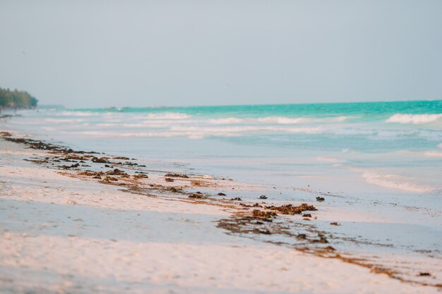 Idyllic tropical beach in Caribbean with white sand, turquoise ocean water and blue sky