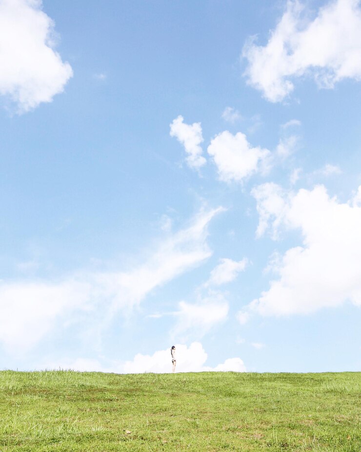 Photo 空を背景に草の茂った景色のイディリックな景色