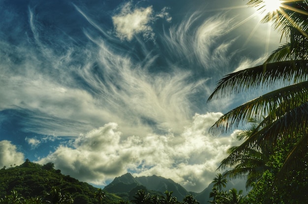 写真 晴れた日に雲の空に囲まれた山の麗な景色