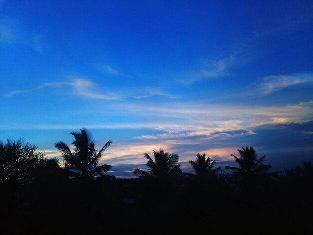 Photo idyllic view of silhouette palm trees during sunset