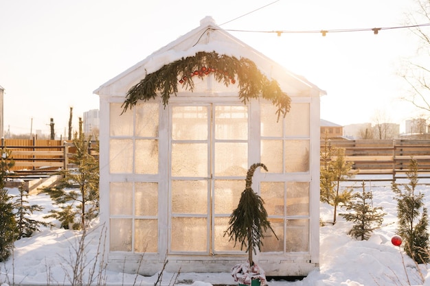 Idyllic view of summer house or greenhouse snowcovered windows frozen and covered in natural patterns on background of sunlight during cozy winter day no people