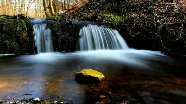 idyllic view of waterfall in forest