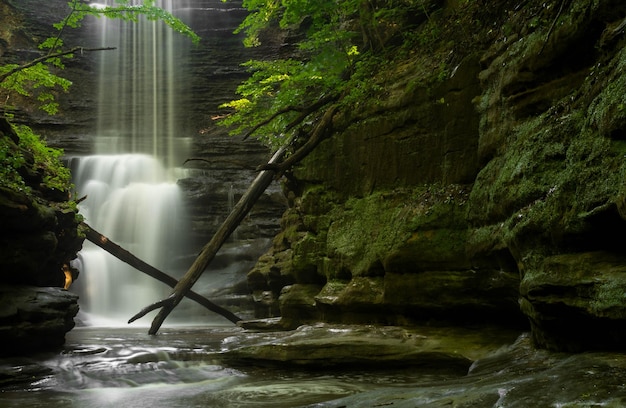 Photo idyllic view of waterfall in forest