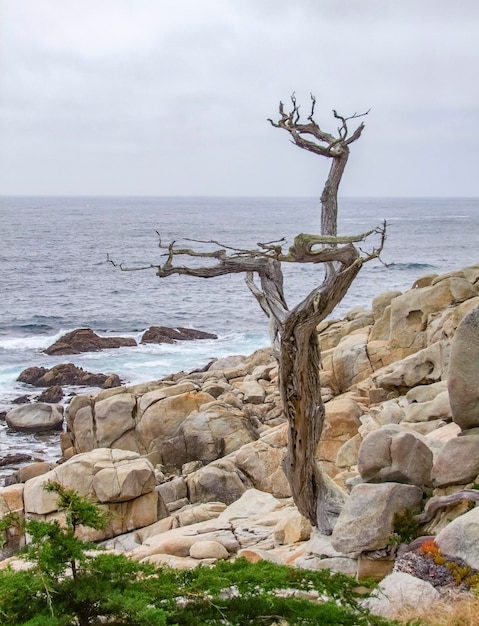 idyllisch kustlandschap in Californië