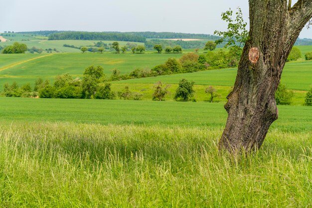 Idyllisch landelijk landschap