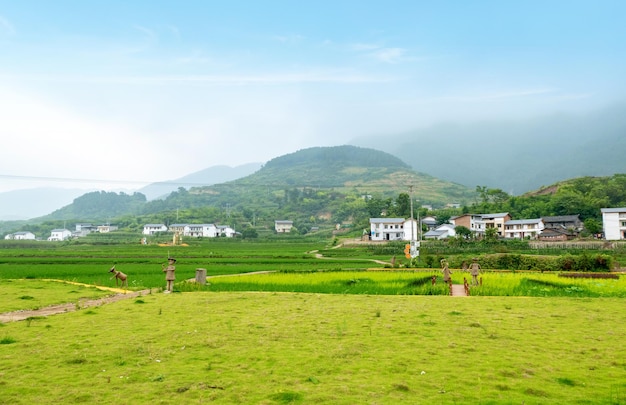 Idyllisch landschap rijstterrassen op het platteland van china