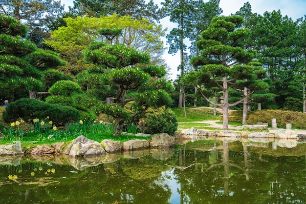 Idyllisch landschap van Japanse tuin Traditionele Japanse stenen tuin voor meditatie