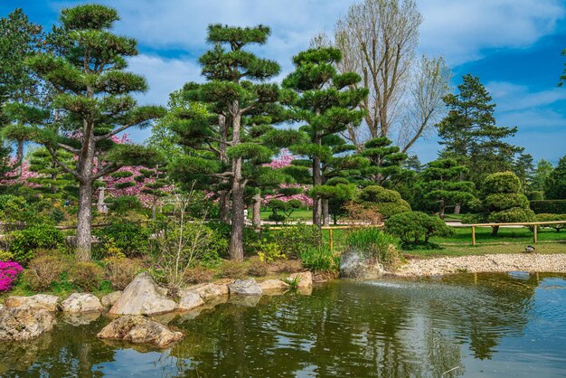 Idyllisch landschap van Japanse tuin Traditionele Japanse stenen tuin voor meditatie