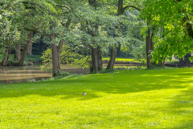 idyllisch parklandschap