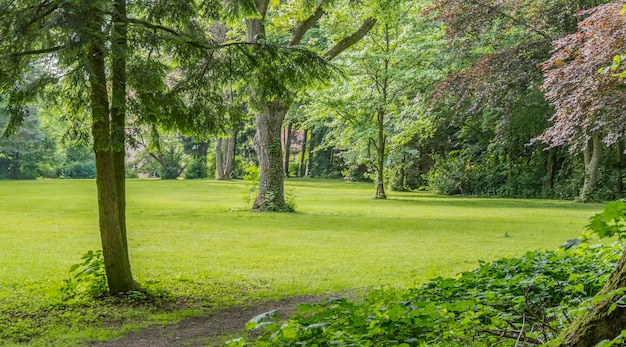 idyllisch parklandschap