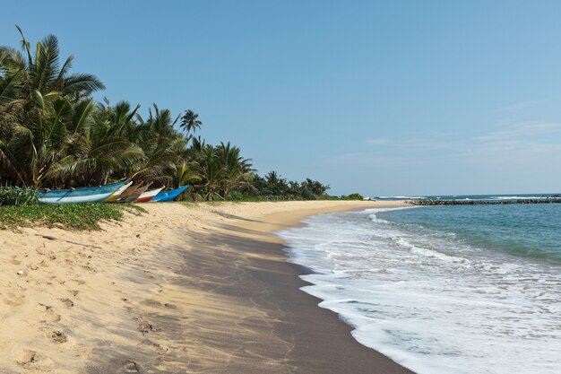 Idyllisch strand. Sri Lanka