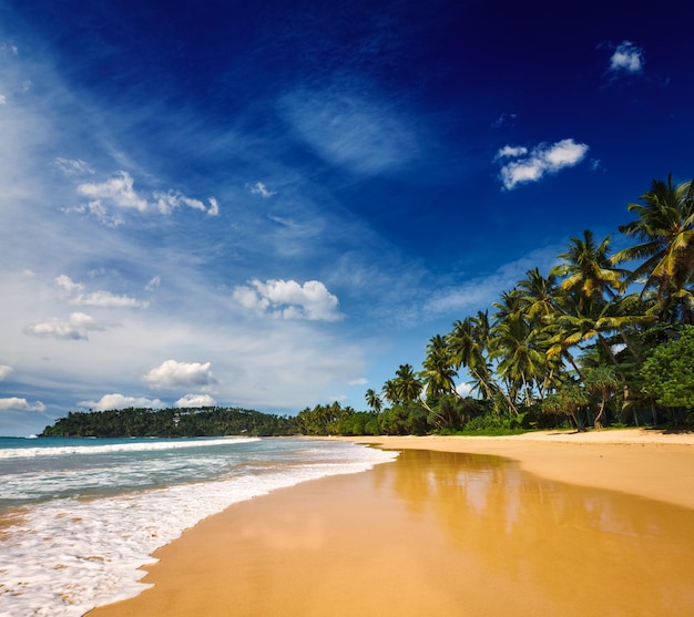 Idyllisch strand Sri Lanka