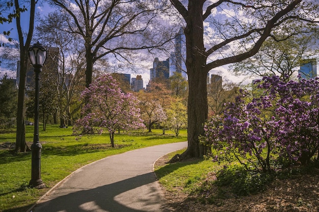 Foto idyllisch uitzicht op central park - manhattan