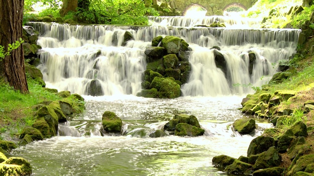 Idyllisch uitzicht op een waterval in het bos
