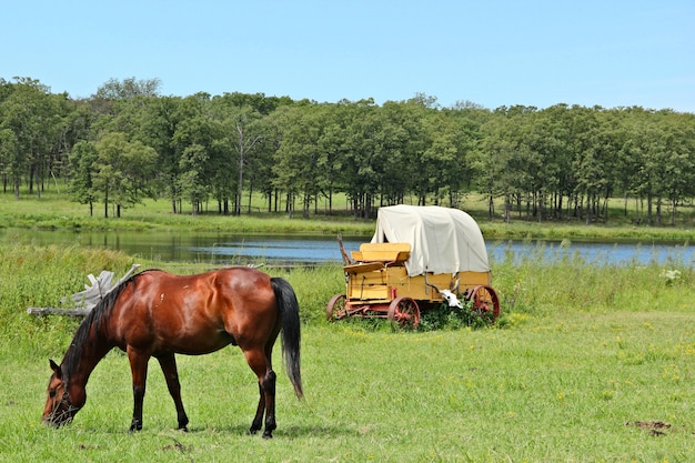 Foto idyllische landelijke omgeving, chuckwagen en een paard op een weide in oklahoma