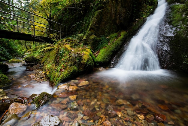 Idyllische opname van een waterval in het bos