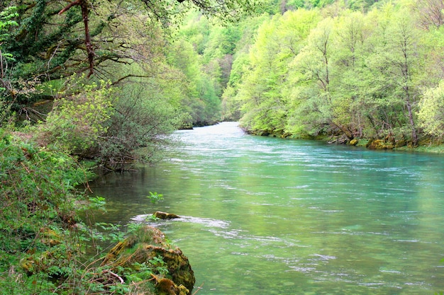 Idyllische plek om van de natuur te genieten