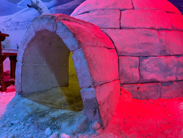 An igloo made of snow like a house