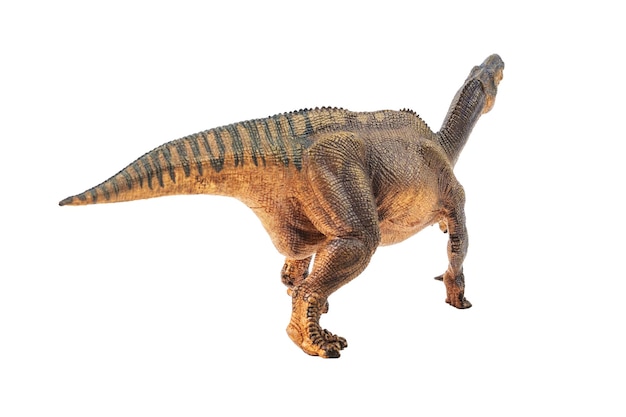 Dinosauro iguanodonte su sfondo bianco