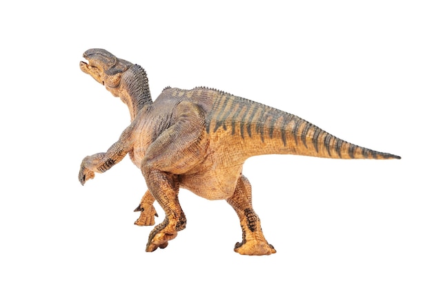 Iguanodon Dinosaur on white background