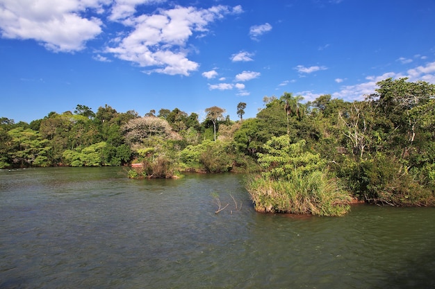 Iguazu falls in Argentina and Brazil