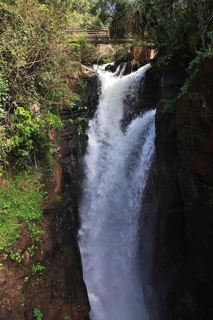 Iguazu-watervallen in Argentinië en Brazilië