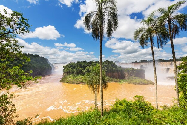 Iguazu