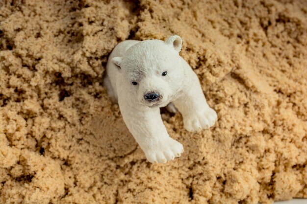 IJsbeermodel op zand