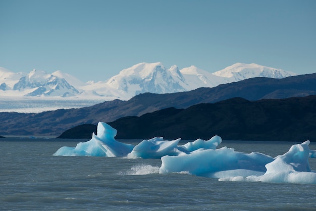 IJsberg drijvend op het Argentino-meer