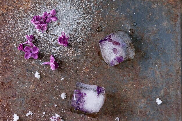 Foto ijsblokjes met lila bloemen