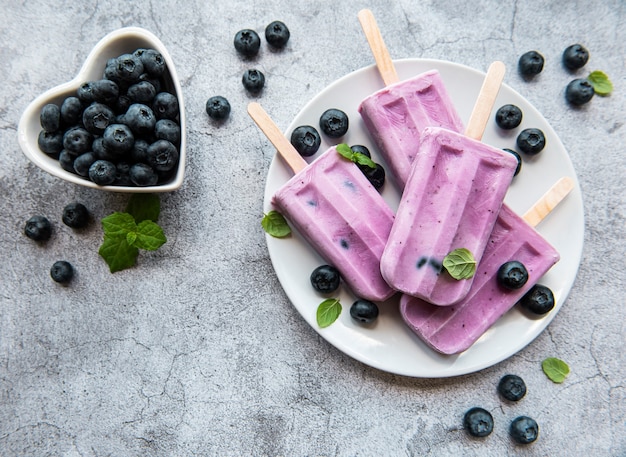 IJsijsjes van huisgemaakte yoghurt en verse biologische bosbessen.