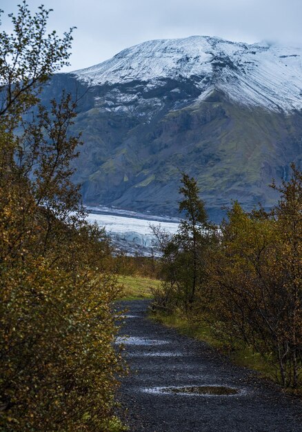 IJslands herfsttoendralandschap bij de Haoldukvisl-gletsjer IJsland Gletsjertong glijdt van de Vatnajokull-ijskap of Vatna-gletsjer bij de subglaciale Esjufjoll-vulkaan Niet ver van de ringweg van IJsland