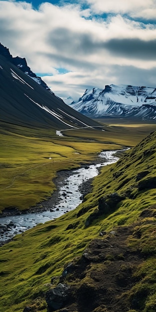 IJslandse bergstroom Een donkergroen en geel postapocalyptisch landschap