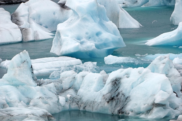 IJsschotsen bij de gletsjerlagune Jokulsarlon in IJsland