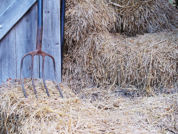 Foto ijzeren hark, houten deur en rijststro.