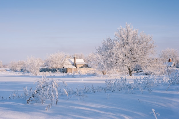 IJzige dag in dorp met besneeuwde bomen