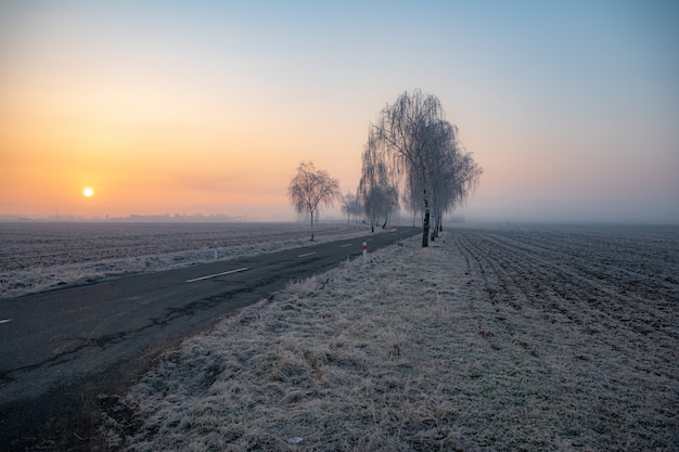 IJzige de herfstochtend bij zonsopgang. de weg leidt van de natuur naar de stad. manier om te werken