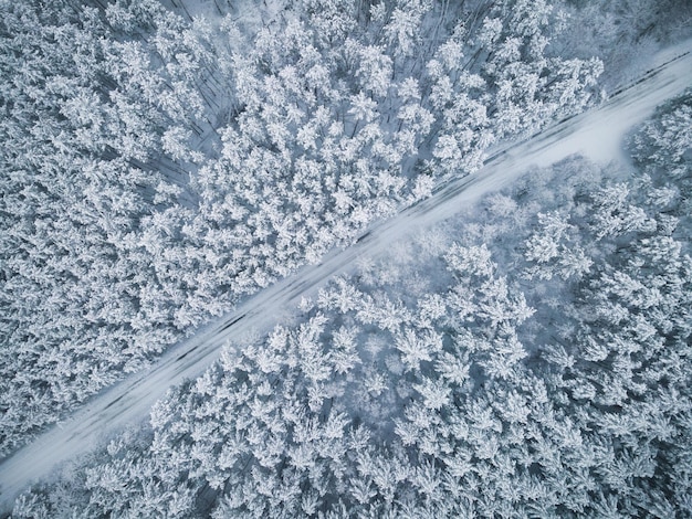 Ijzige weg door bos Winter Sonw Bedekte sparren Luchtfoto Top Down Drone View