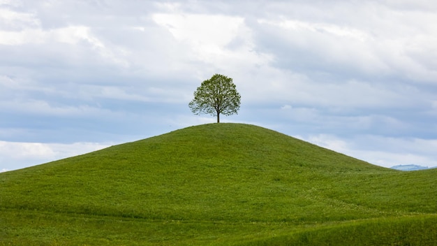 Ik heb gemerkt dat er in heuvelachtige landschappen vaak een boom bovenop de heuvel staat. Ik heb me vaak afgevraagd waar dat goed voor is. Welnu, zowel deze heuvels als de bomen zijn ideaal om mooie foto's te maken