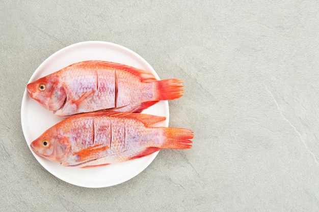 イカンニラメラ生の赤いティラピア魚は一種の淡水魚の消費です