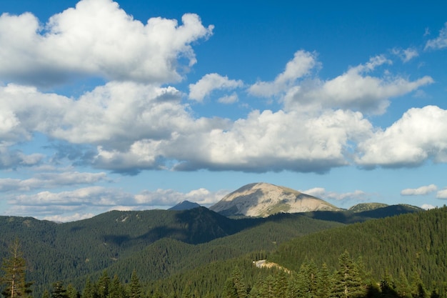 Ilgaz-gebergte Kastamonu Turkije