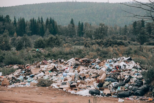 Illegale stortplaats midden in het bos en veld.