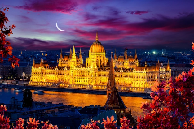 Illuminated Budapest Parliament