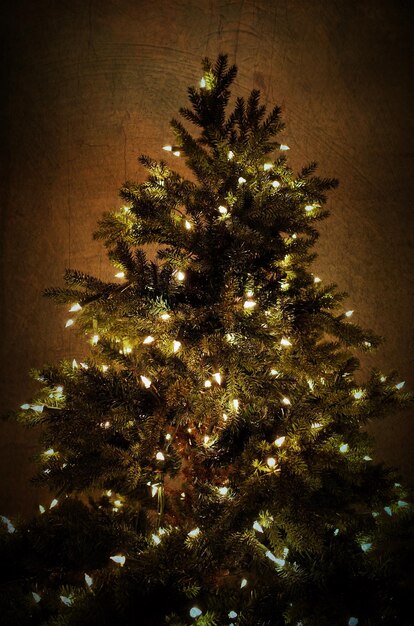 Illuminated christmas tree against wall