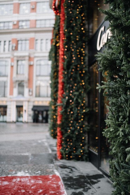 Photo illuminated christmas tree by building in city