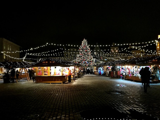 Illuminated christmas tree at night