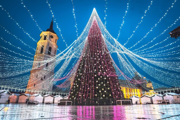 Illuminated christmas tree at night