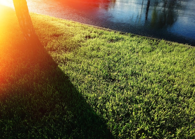 Illuminated city lawn after the rain background