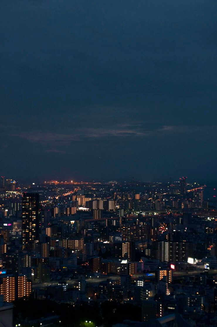 Photo 밤의 하늘을 배경으로 조명된 도시 풍경